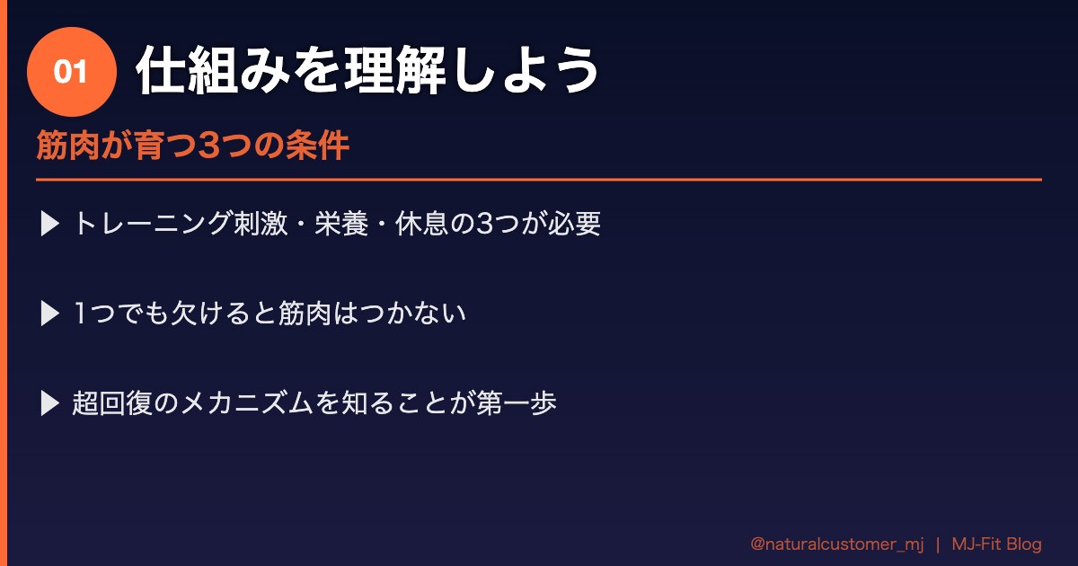 筋肉がつく仕組みを解説
