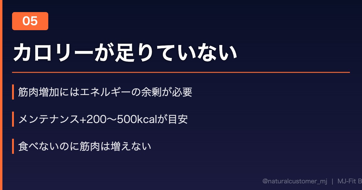 カロリーが足りていない