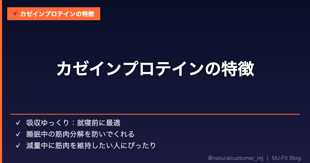カゼインプロテインの特徴を解説する画像